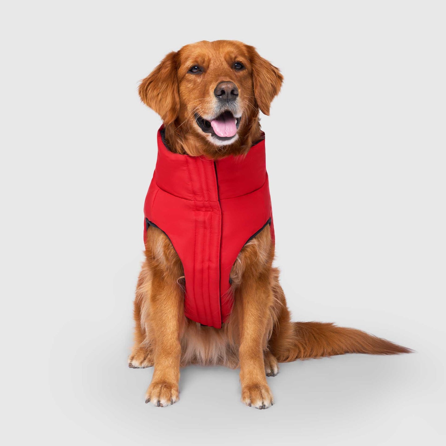 Reversible Puffer Vest- Dog Coat: Red/Black