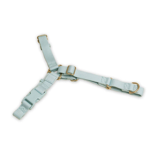 Roam Harness: SLATE / Medium