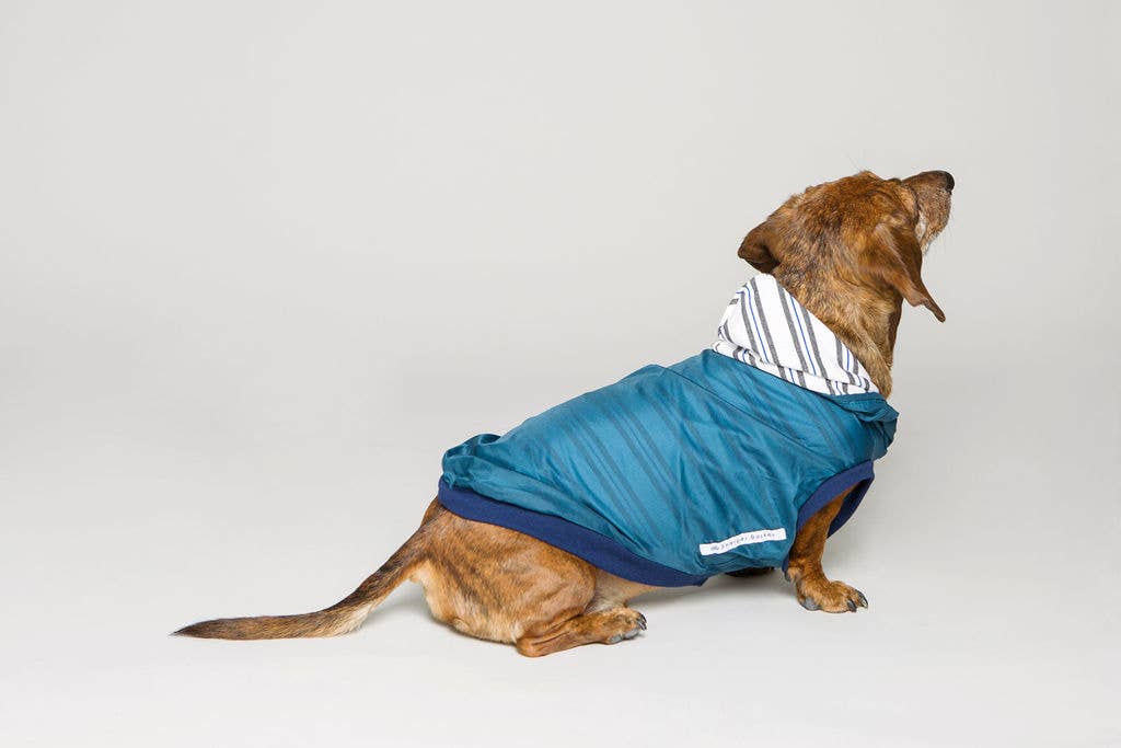 Dog Rain Jacket Jogger & Windbreaker - Teal Blue