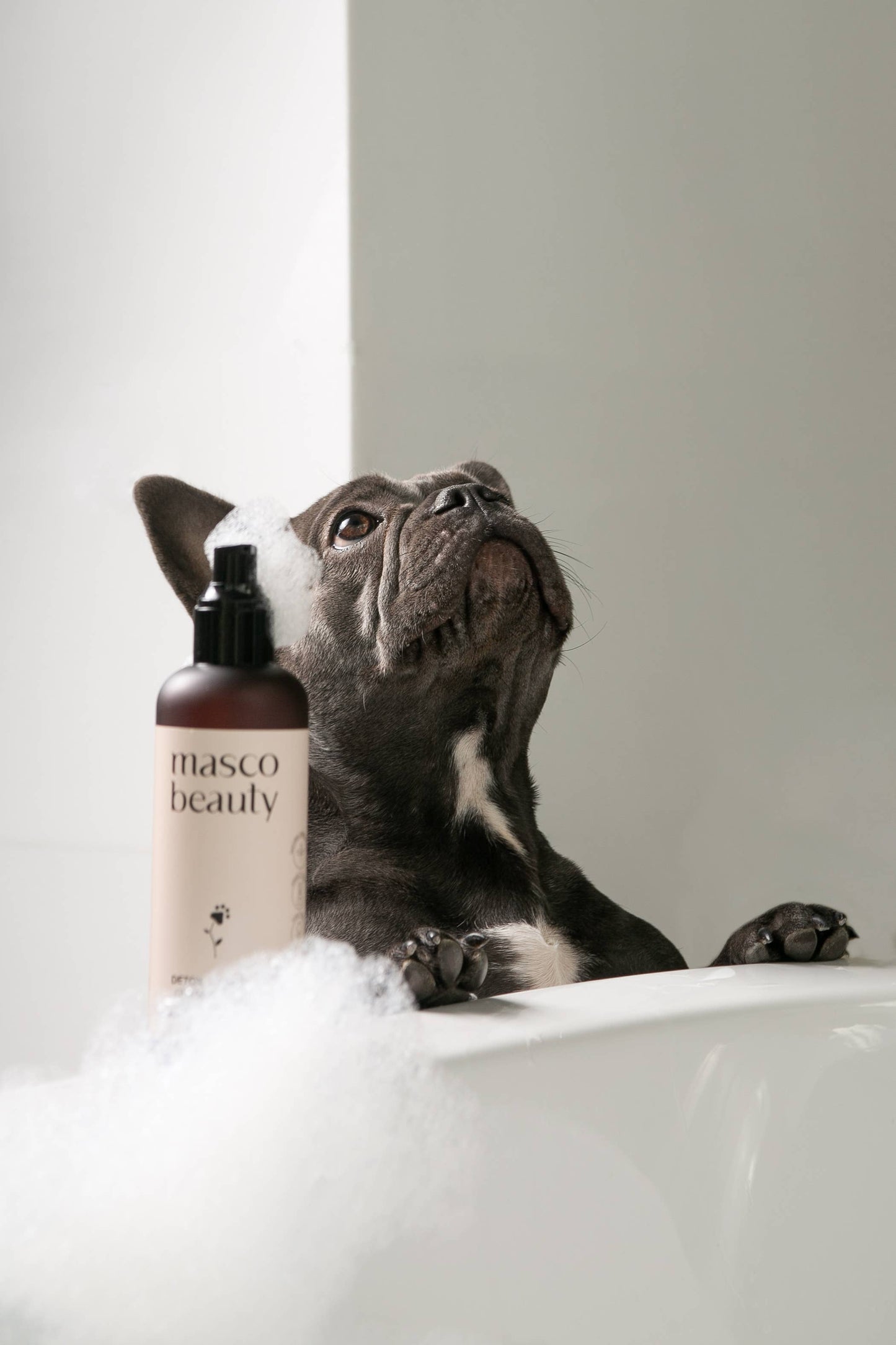 Purifying Dog Shampoo for Sensitive Skin with Aloe vera