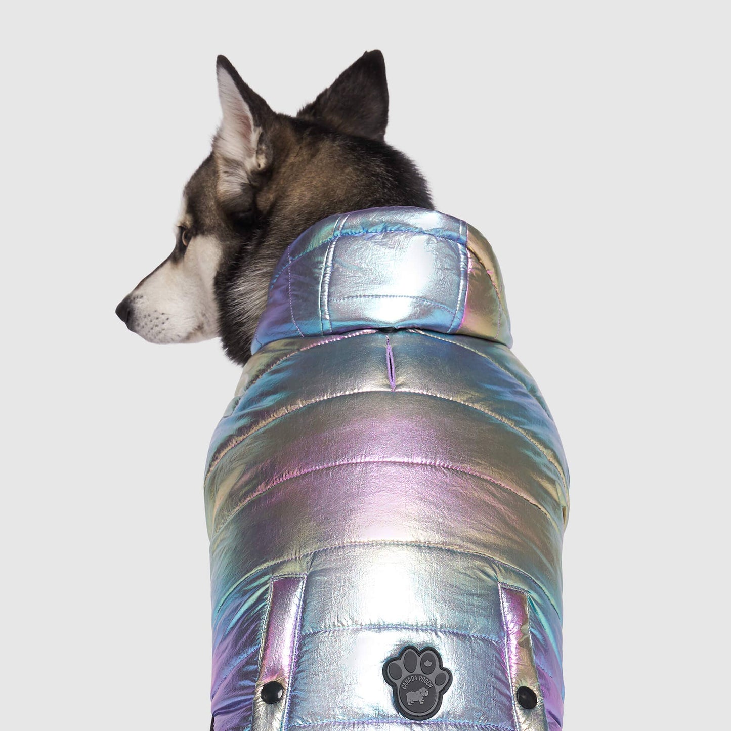 Shiny Puffer Vest- Dog Coat: Iridescent / 16
