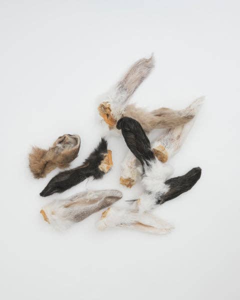 Rabbit Ears: Compostable Pouch (13-15 Ears)