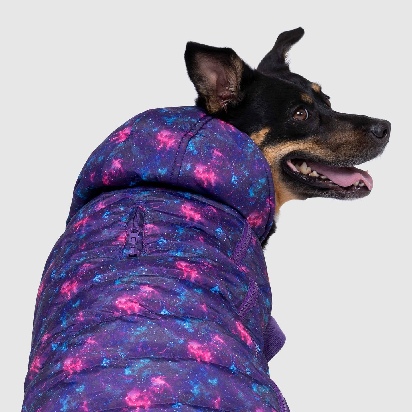 Prism Puffer- Dog Coat: Pink Houndstooth / 24