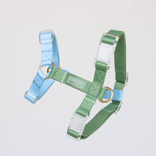 Blue & Sage Green Dog Strap Harness