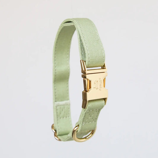 Sage Green Collar