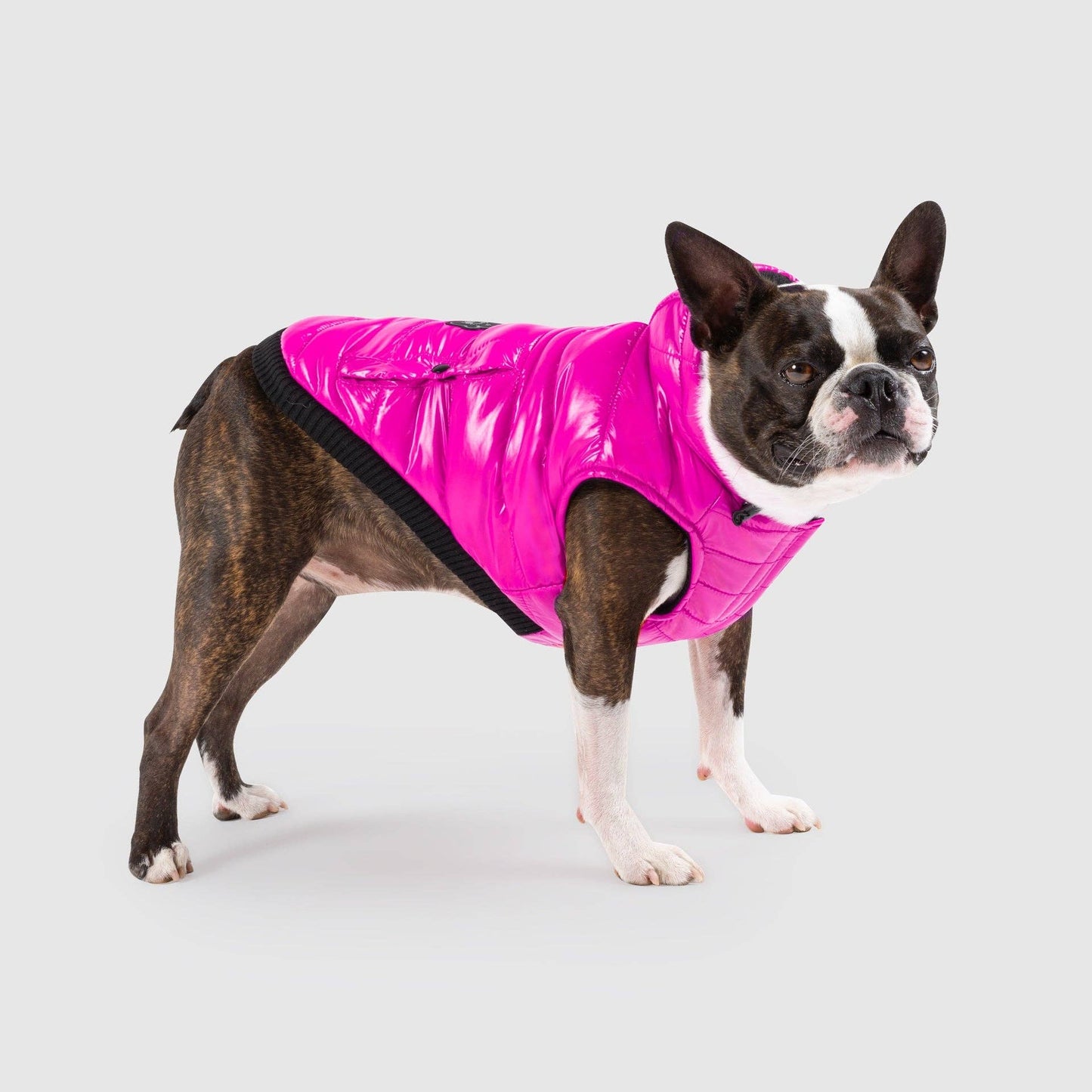 Shiny Puffer Vest- Dog Coat: Iridescent / 16