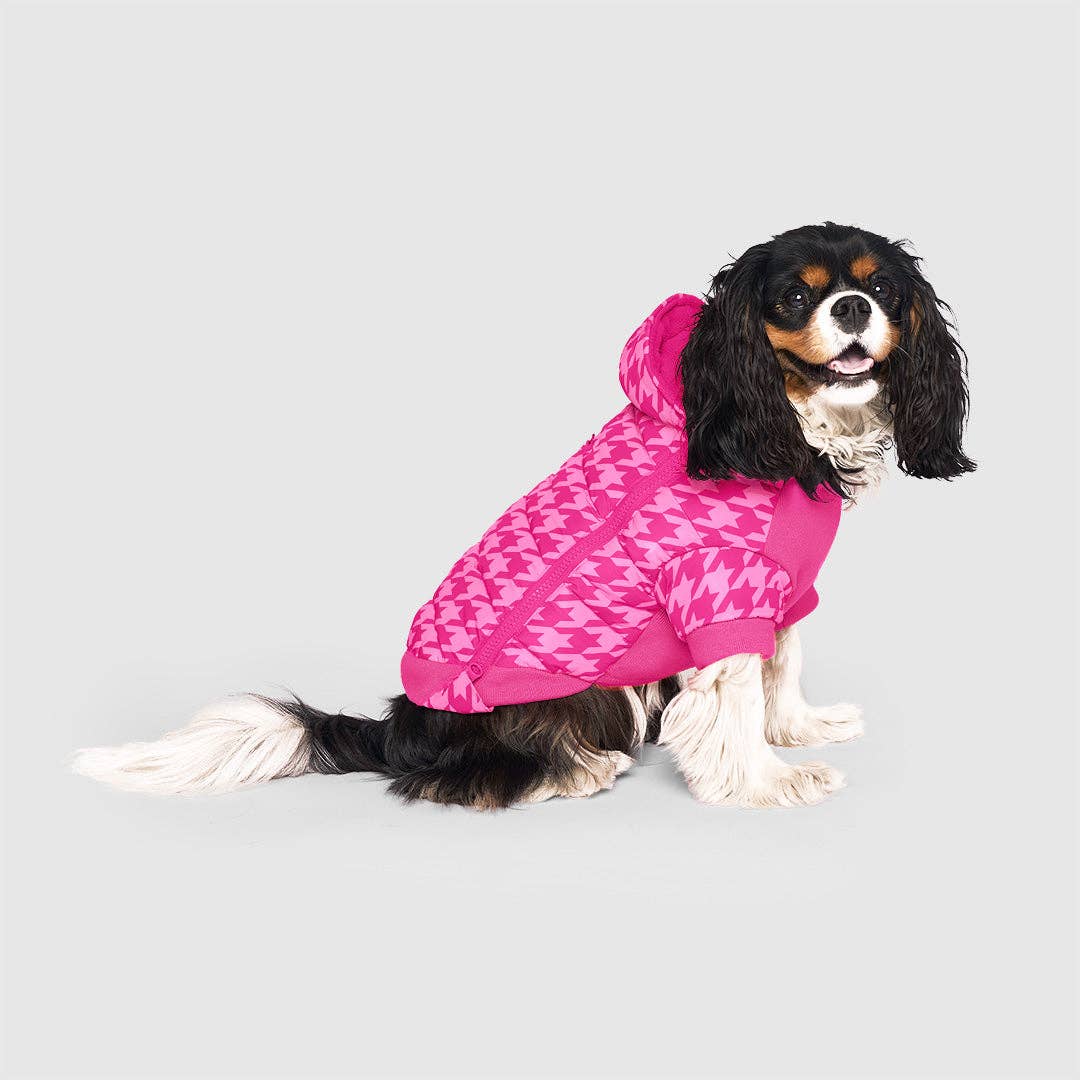 Prism Puffer- Dog Coat: Galaxy / 8