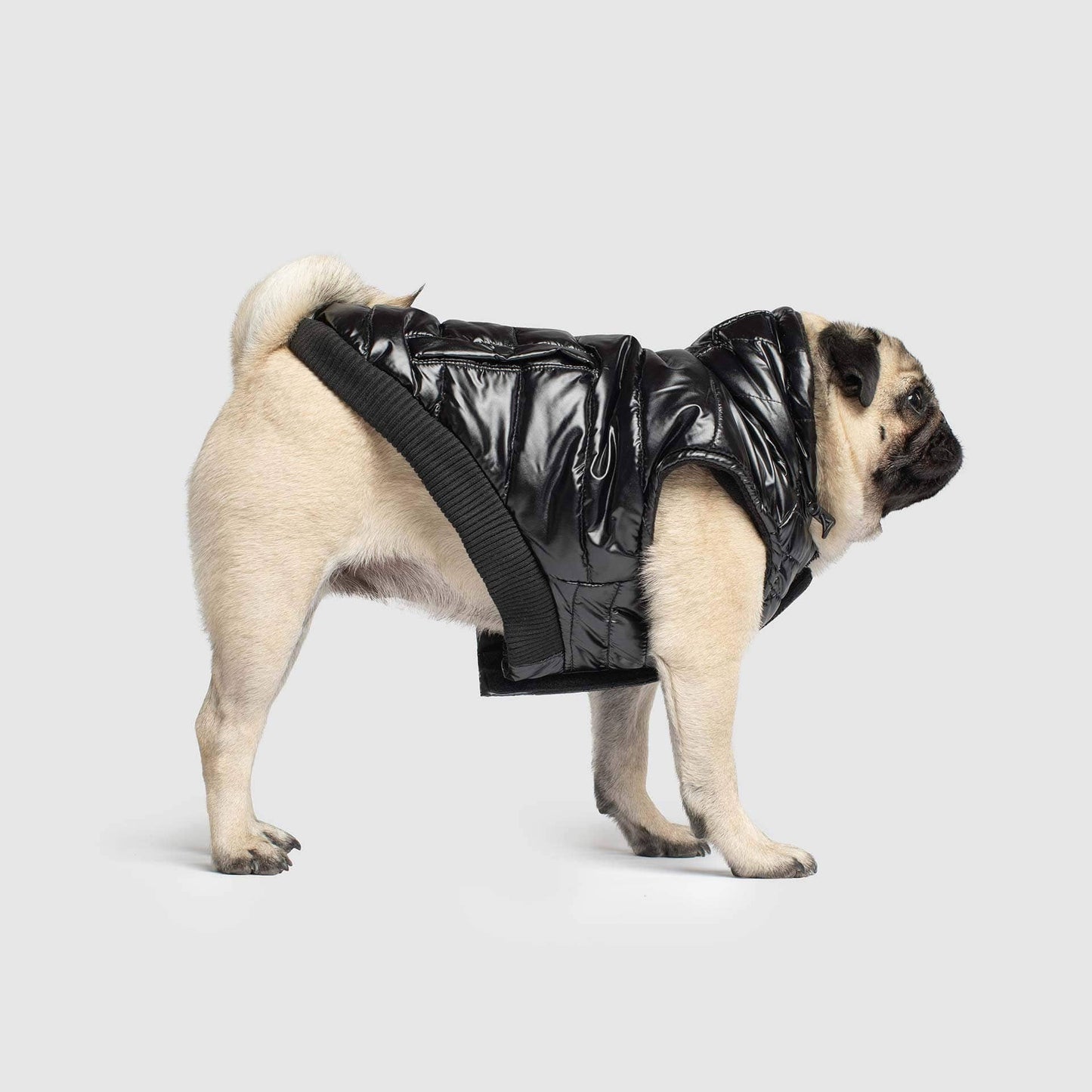 Shiny Puffer Vest- Dog Coat: Iridescent / 16