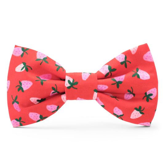 Berry Sweet Bow Tie