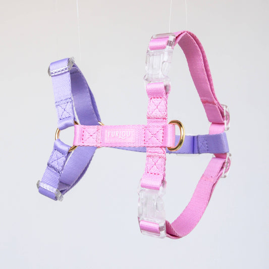 Lavender & Pink Dog Strap Harness
