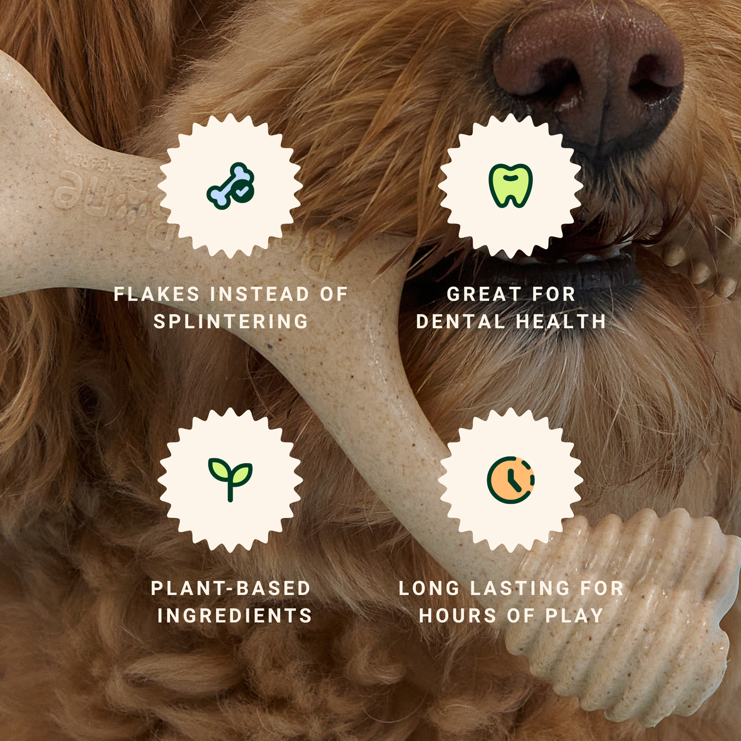 BetterBone Wishbone Plant Based Chew Toy - MINI SIZE: Moderate / Beef / Mini