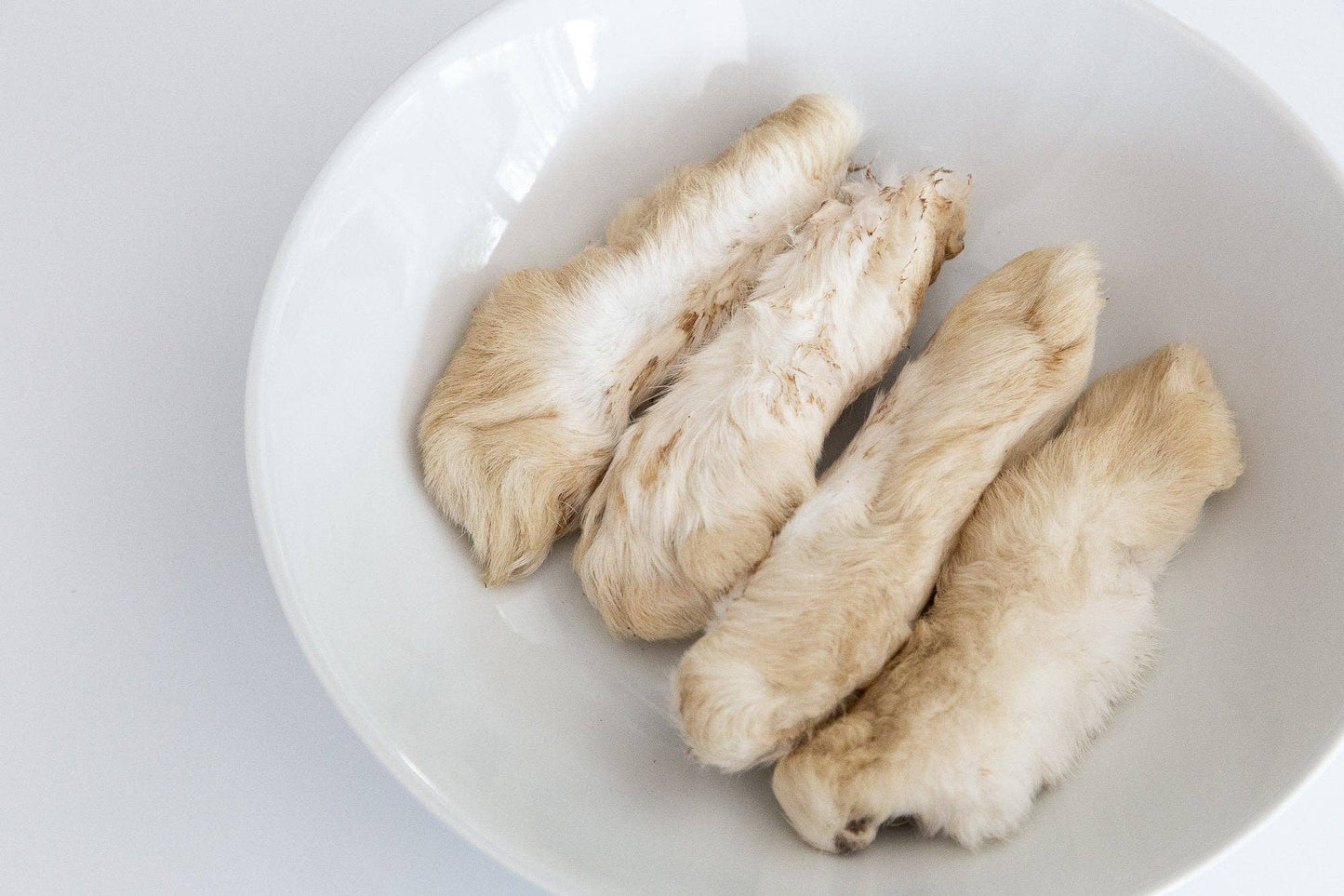 Dehydrated Rabbit Feet: 6 Pack