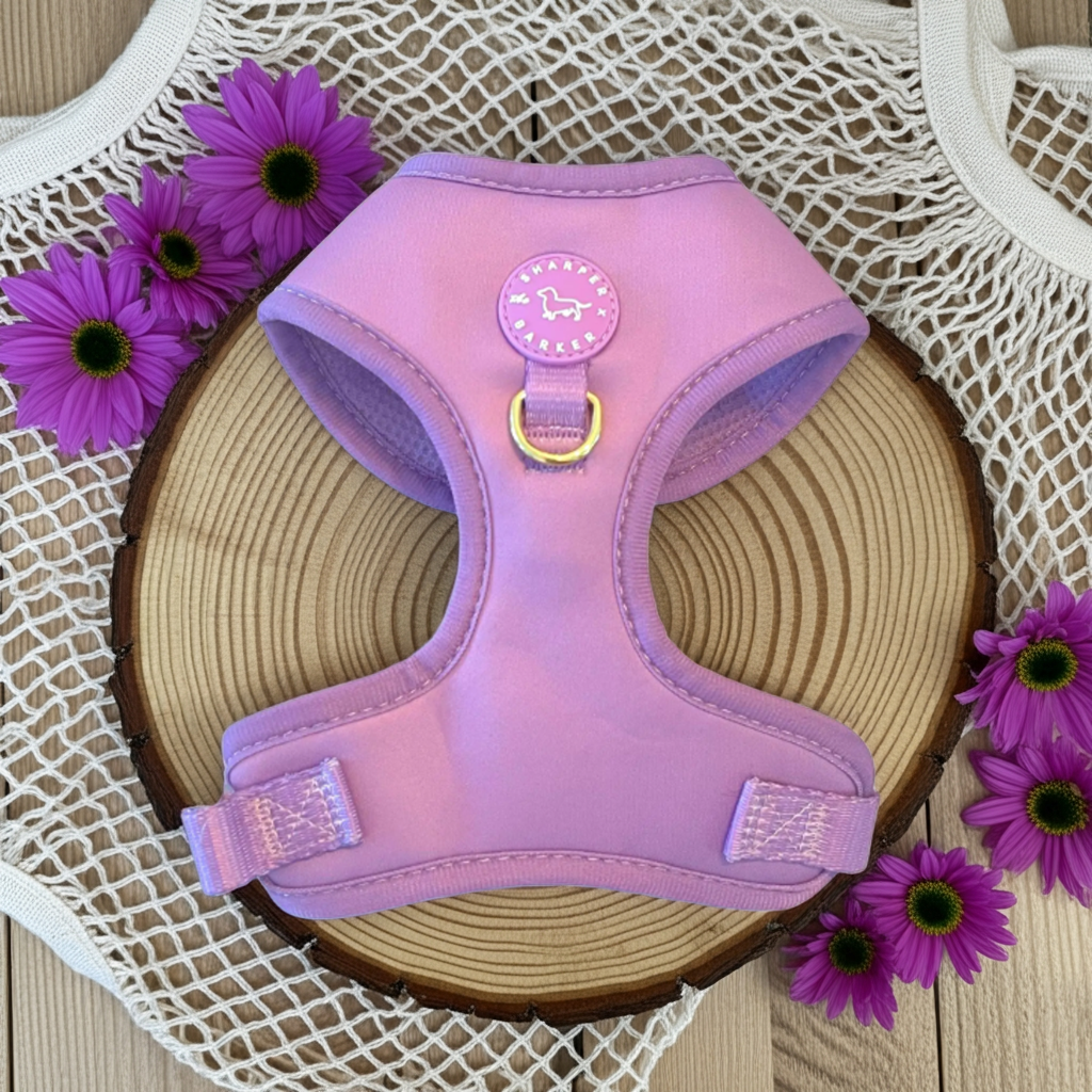 Lilac Purple Dog Harness