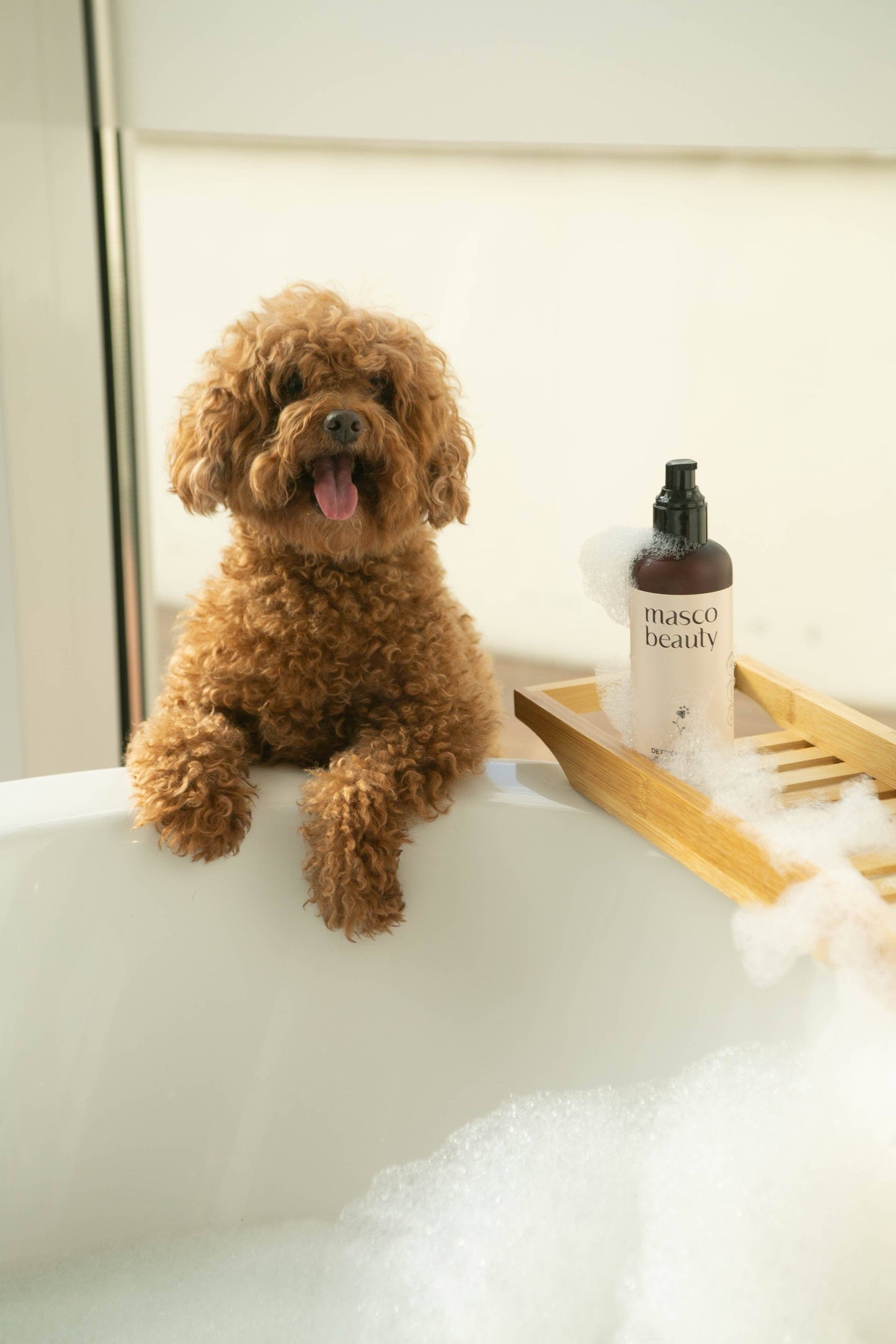 Purifying Dog Shampoo for Sensitive Skin with Aloe vera