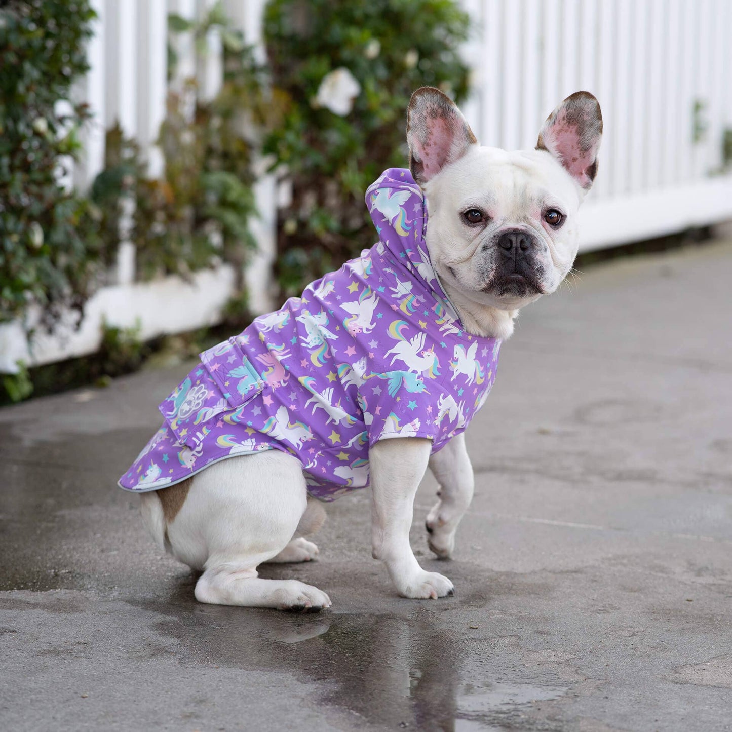 Torrential Tracker Dog Raincoat (Wet Reveal Unicorns): Wet Reveal Unicorns / 10