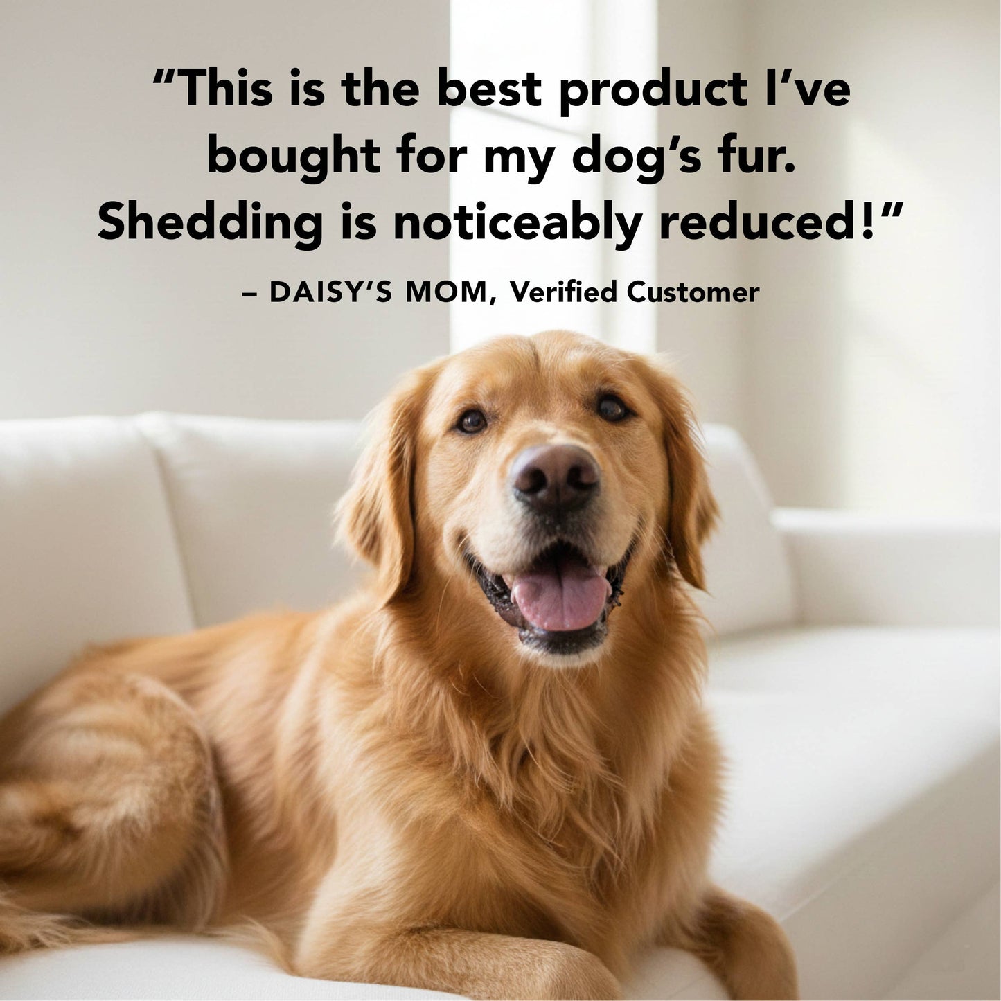 THE NON SHEDDER Shampoo, 12oz