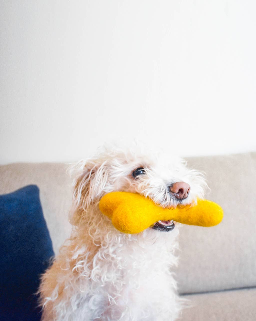 MB WOOLBONE Wool Dog Toy: Mulberry / L