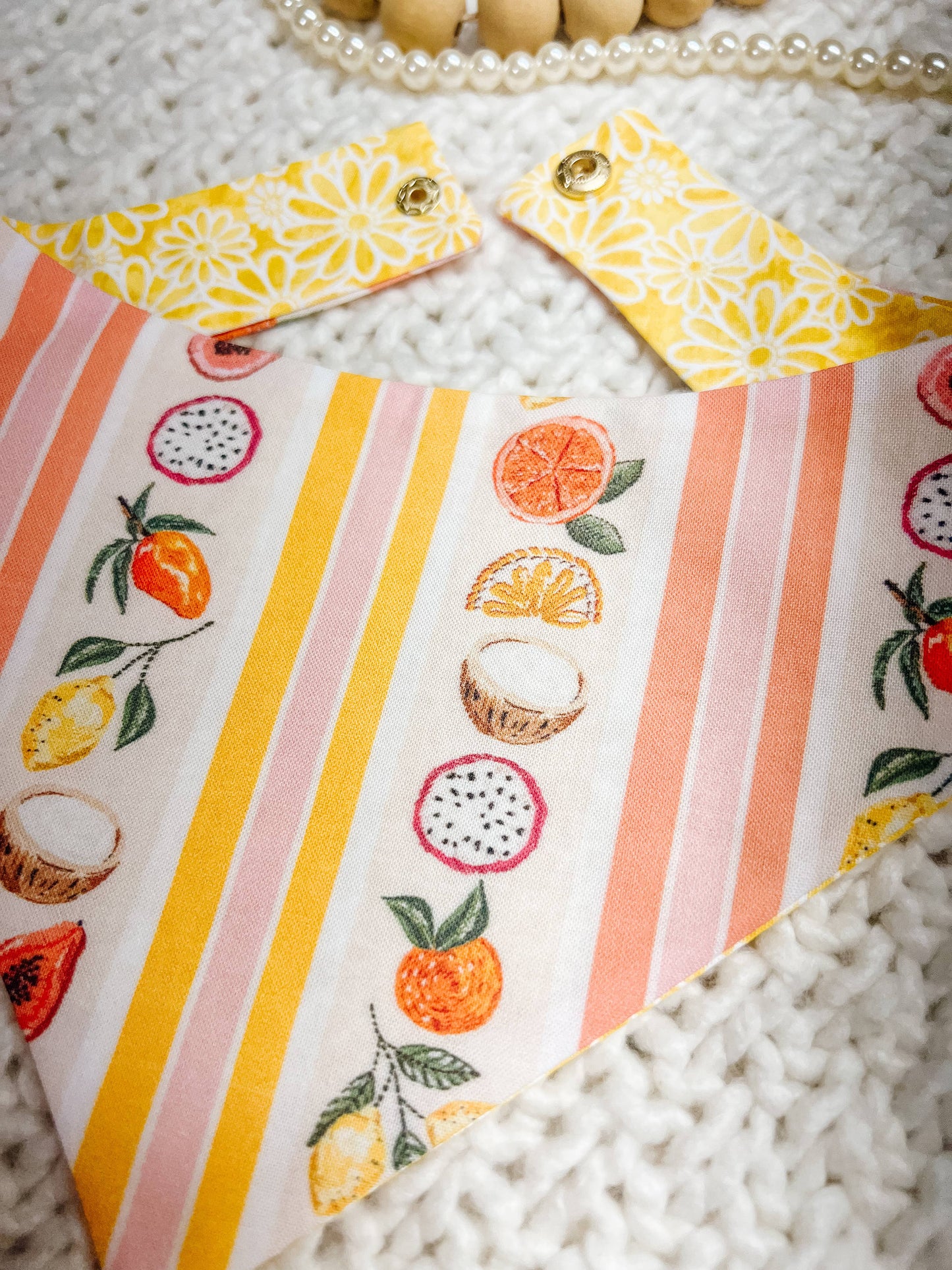 Fruit Snap-On Reversible Dog Bandana, Curved Neck: L