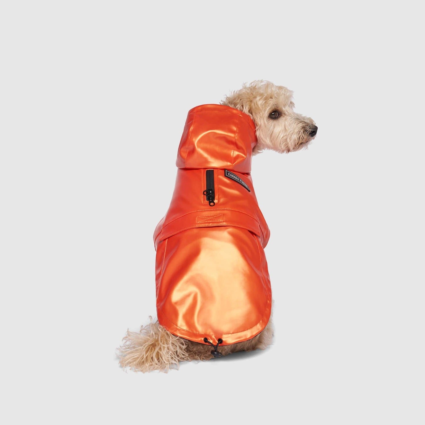 Cold Front Raincoat- Dog Raincoat: Orange / 14