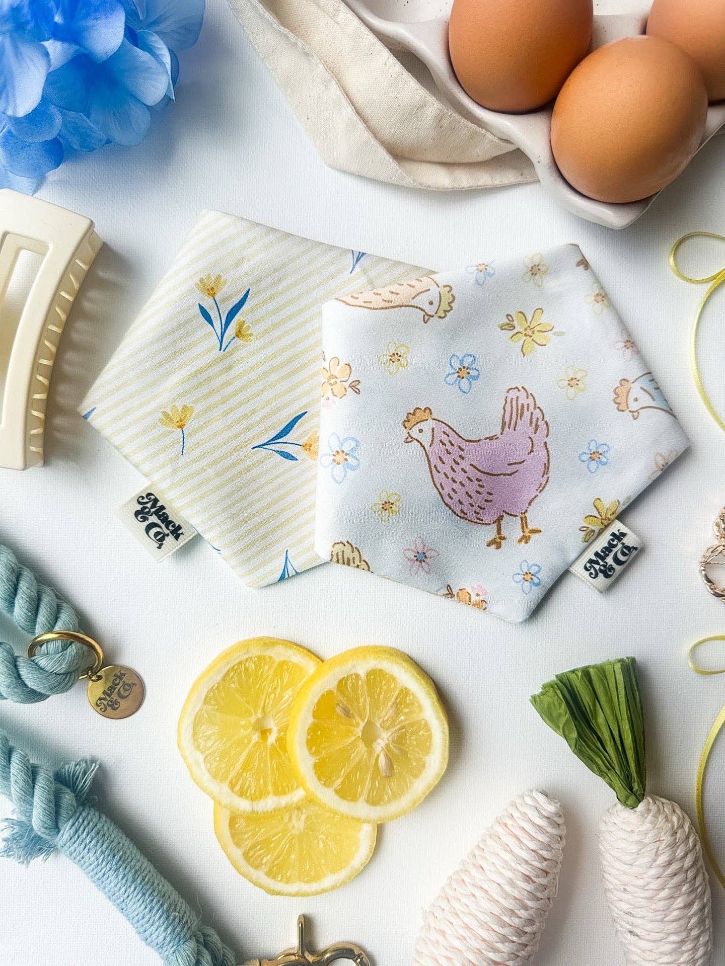 Spring Chicken Bandana *Reversible*: Large