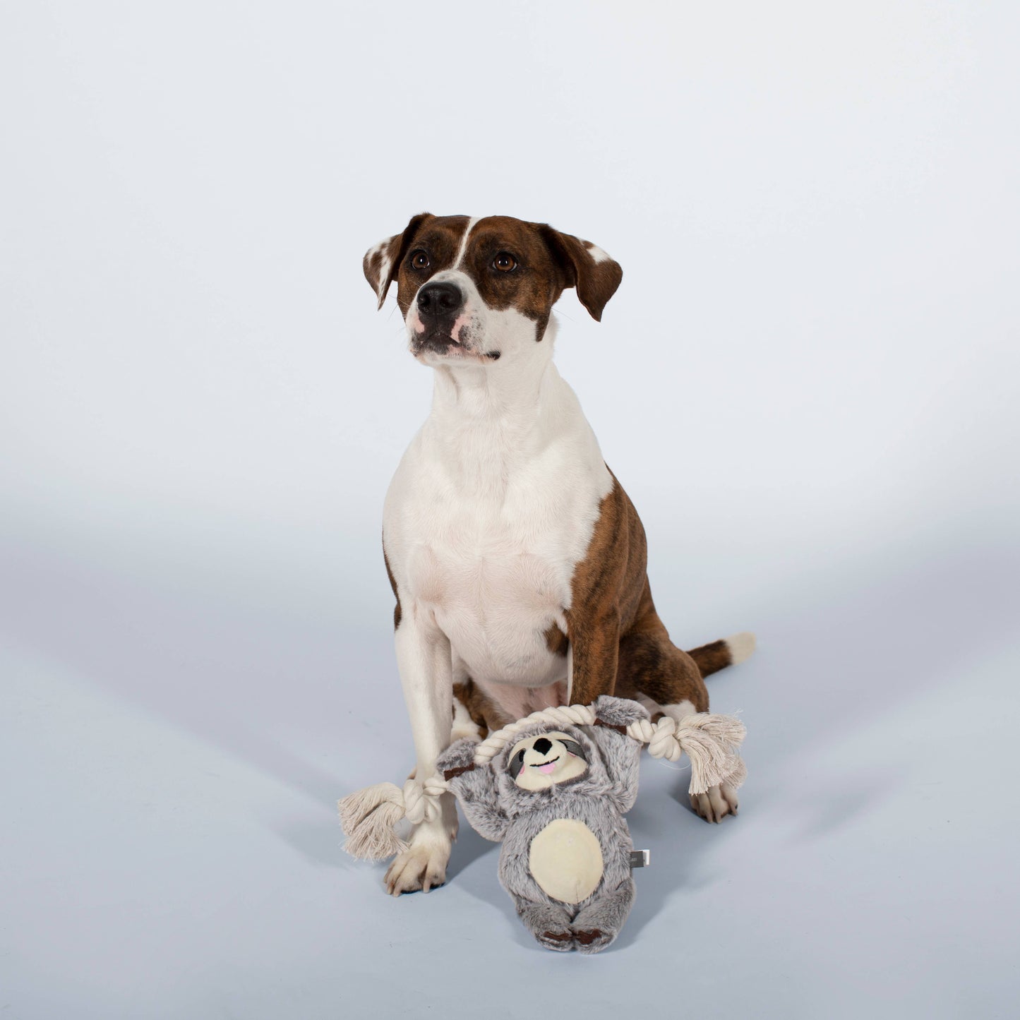 GIRLIE SLOTH ON A ROPE PLUSH DOG TOY