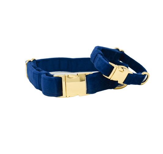 Dark Blue Dog Collar