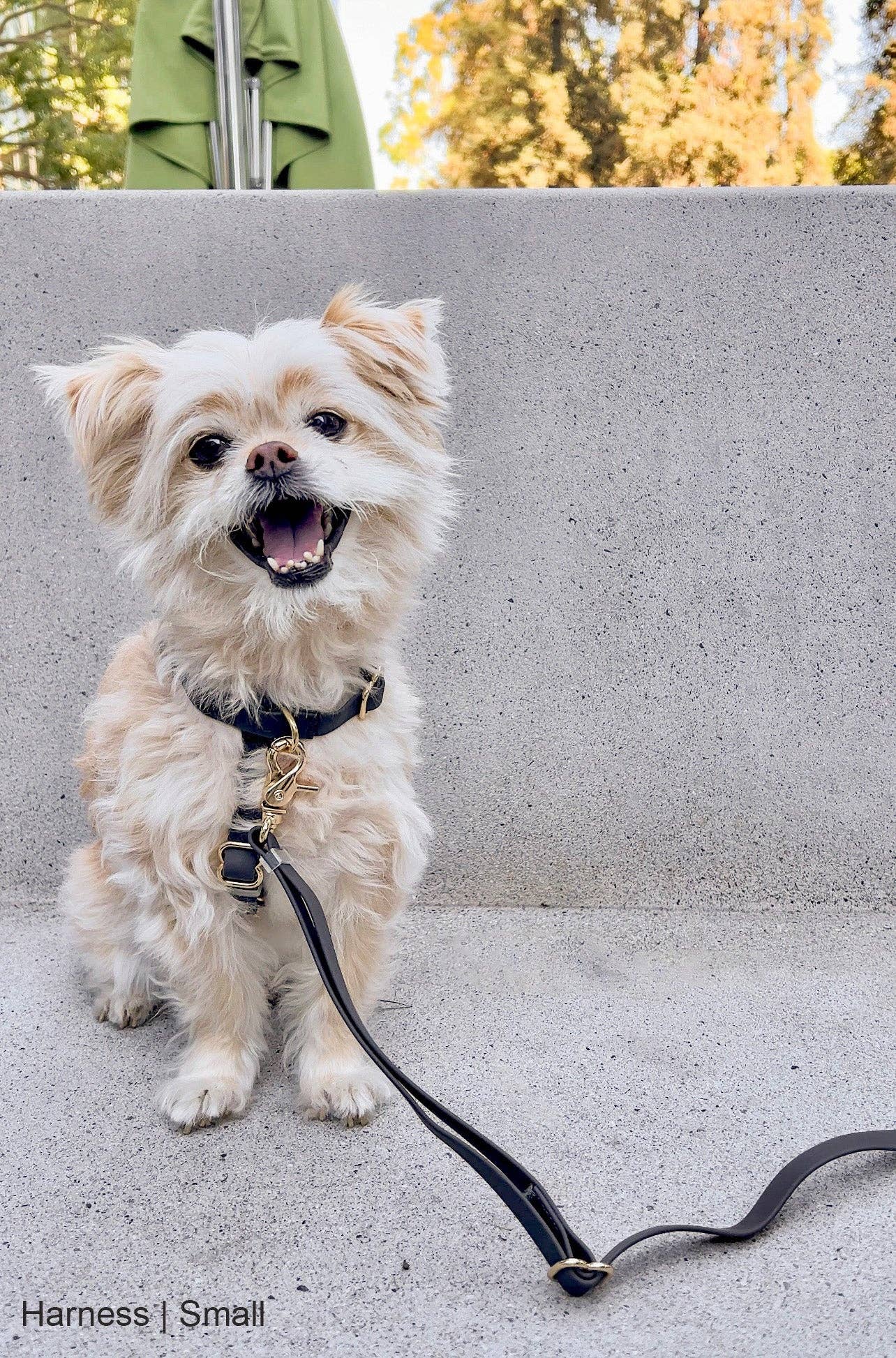Ember Black Cloud Lite Dog Harness