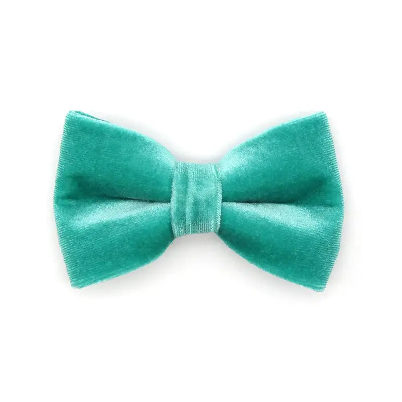 Seafoam Velvet Turquoise Bow Tie for Cats + Small Dogs