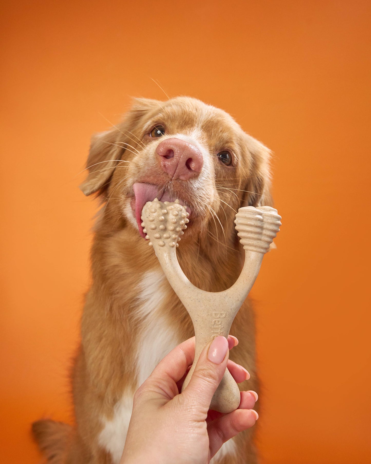 BetterBone HARD: Unflavored / Small (dogs under 25 lbs)