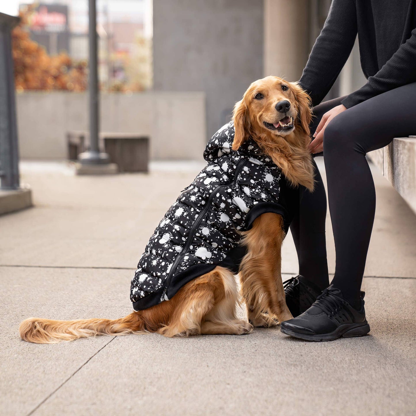 Prism Puffer- Dog Coat: Galaxy / 8