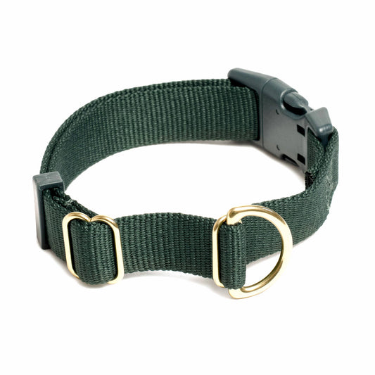 Pack Collar: PINE / Large