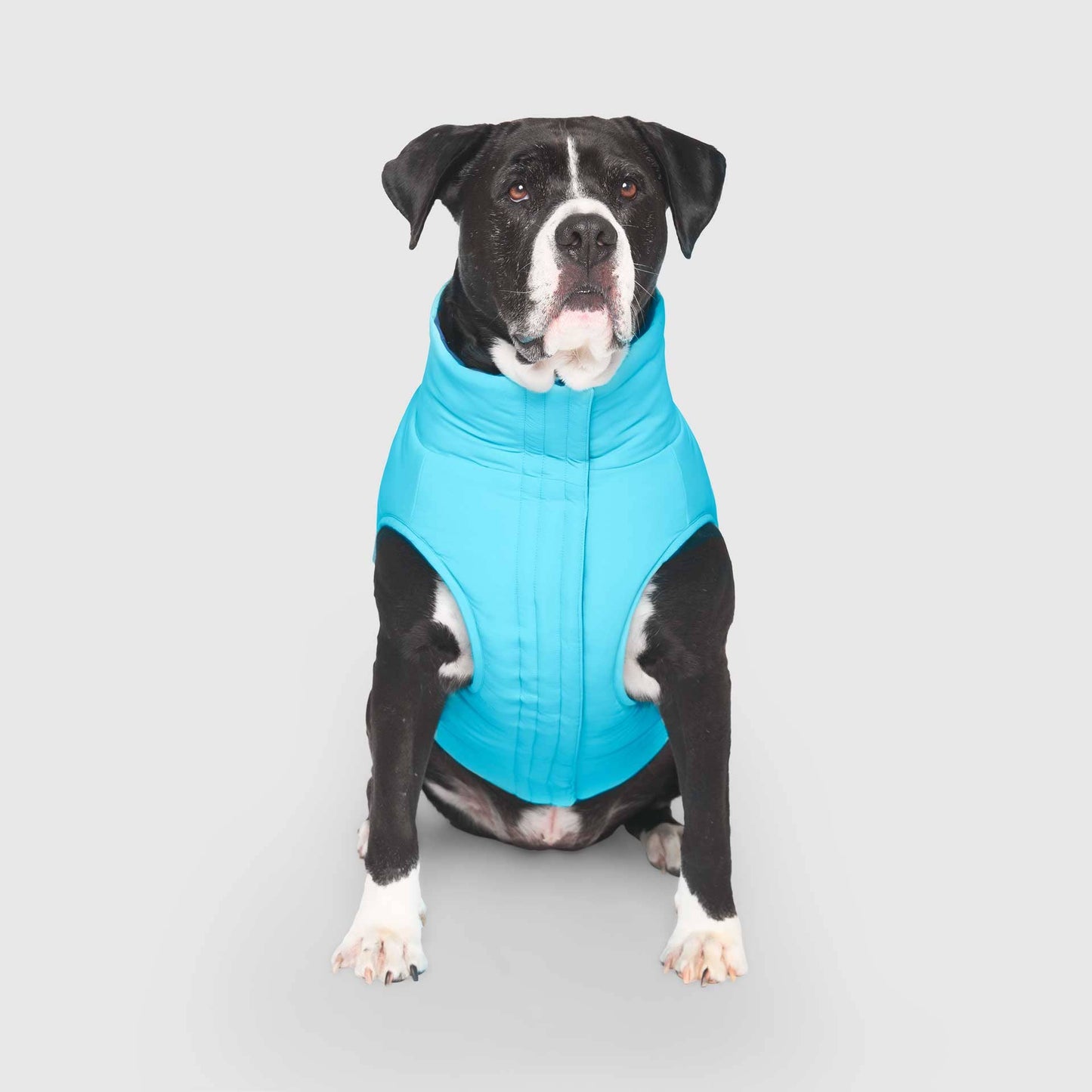 Reversible Puffer Vest- Dog Coat: Blue/Teal