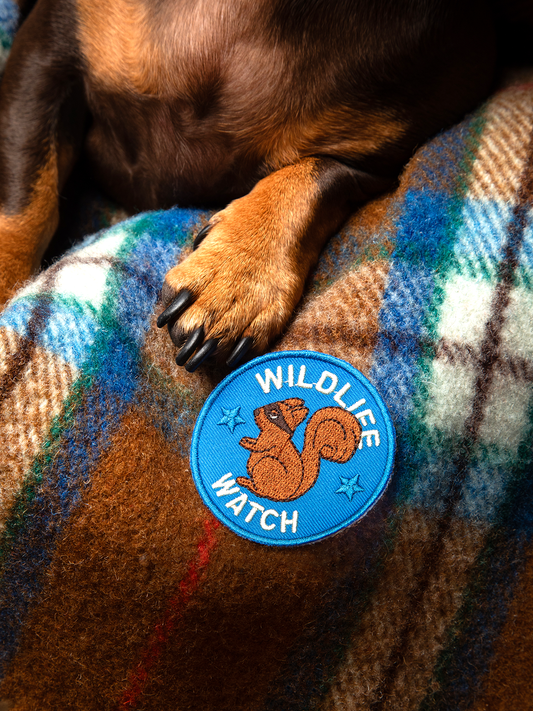 Wildlife Watch Patch