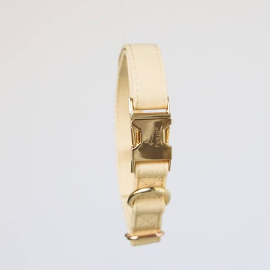 Cream Ivory Dog Collar