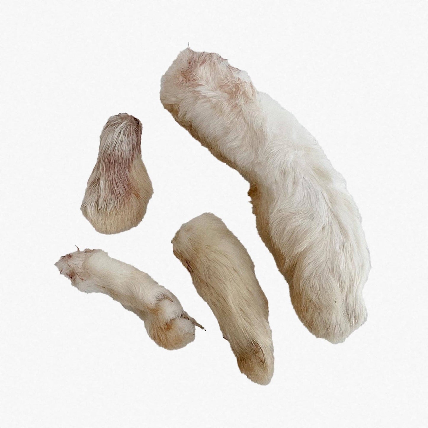 Dehydrated Rabbit Feet: 6 Pack