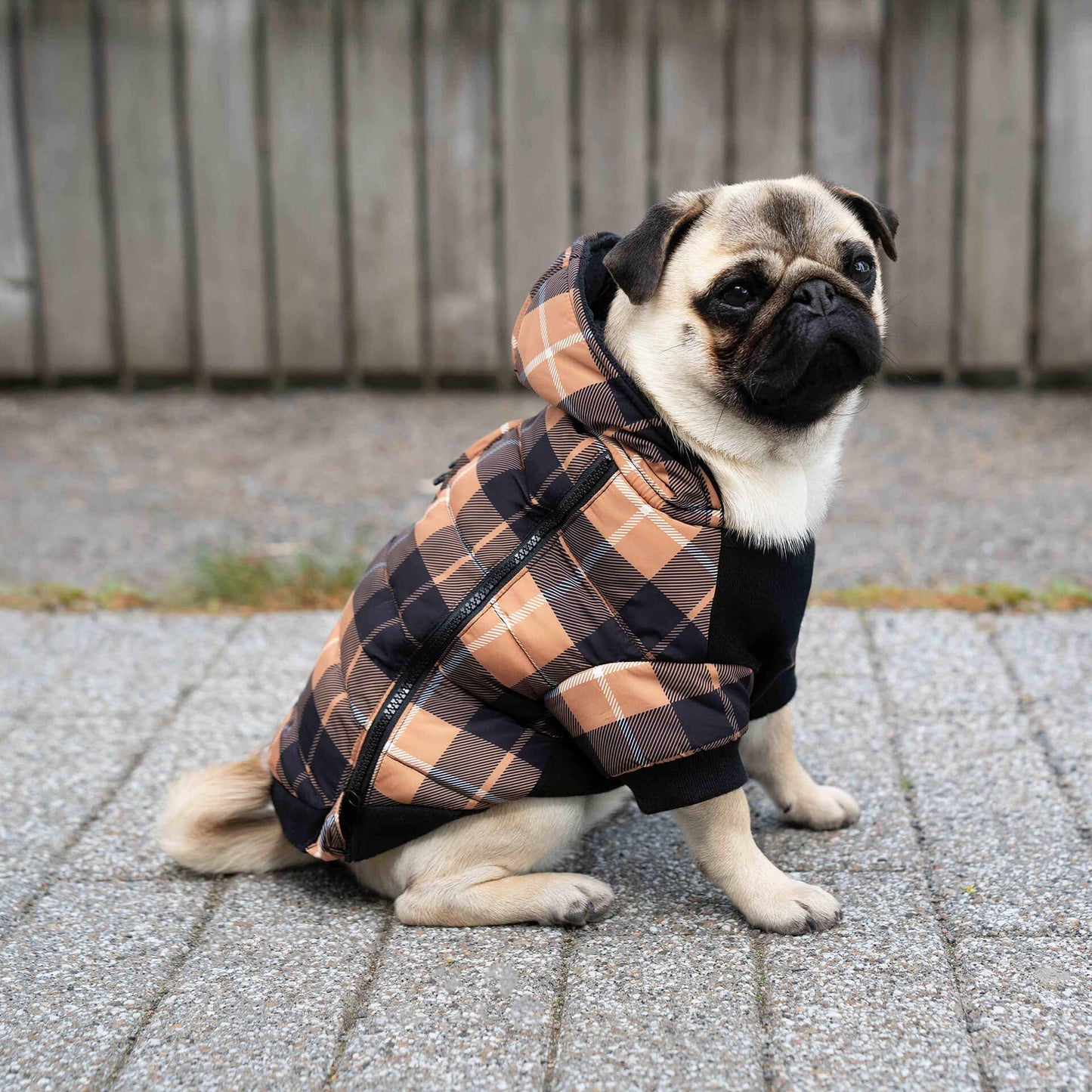 Prism Puffer- Dog Coat: Pink Houndstooth / 24