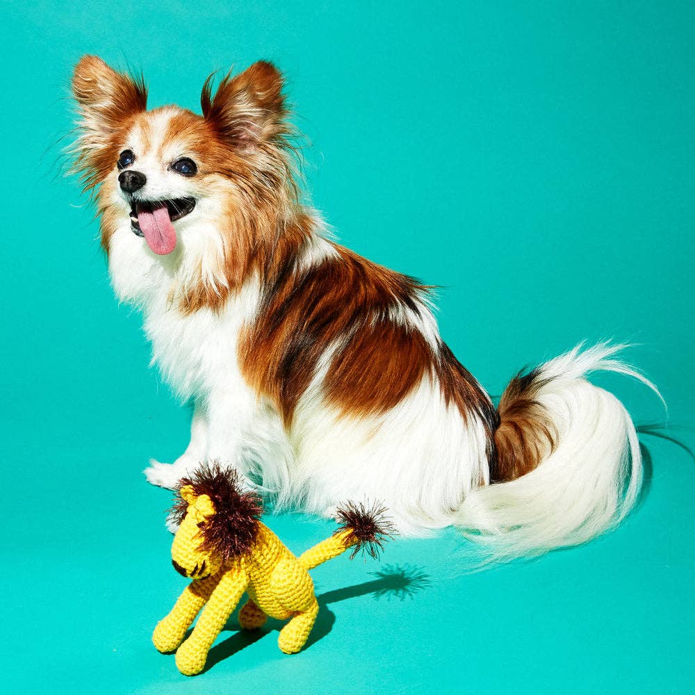 Hand Crochet Lion Dog Toy