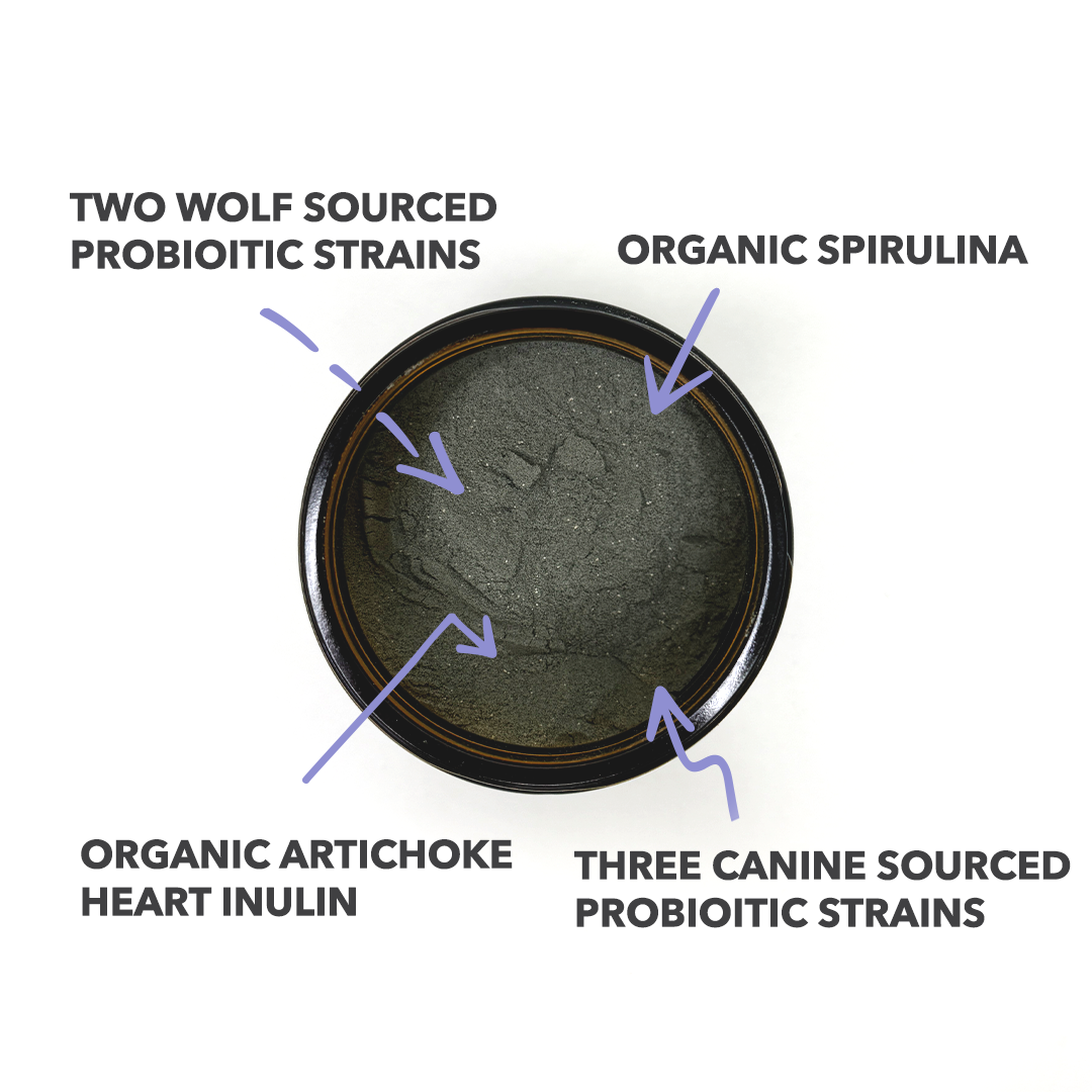 North Hound Life Probiotic+