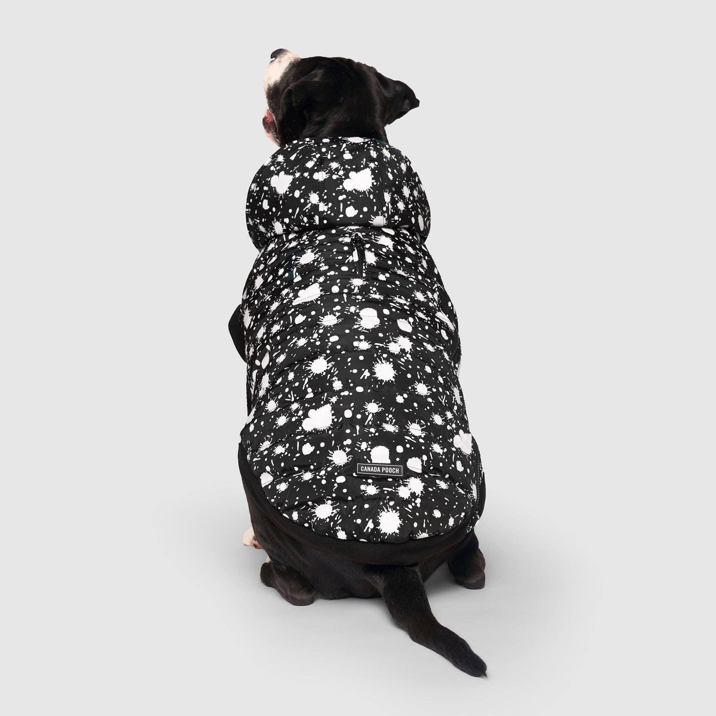 Prism Puffer- Dog Coat: Galaxy / 8