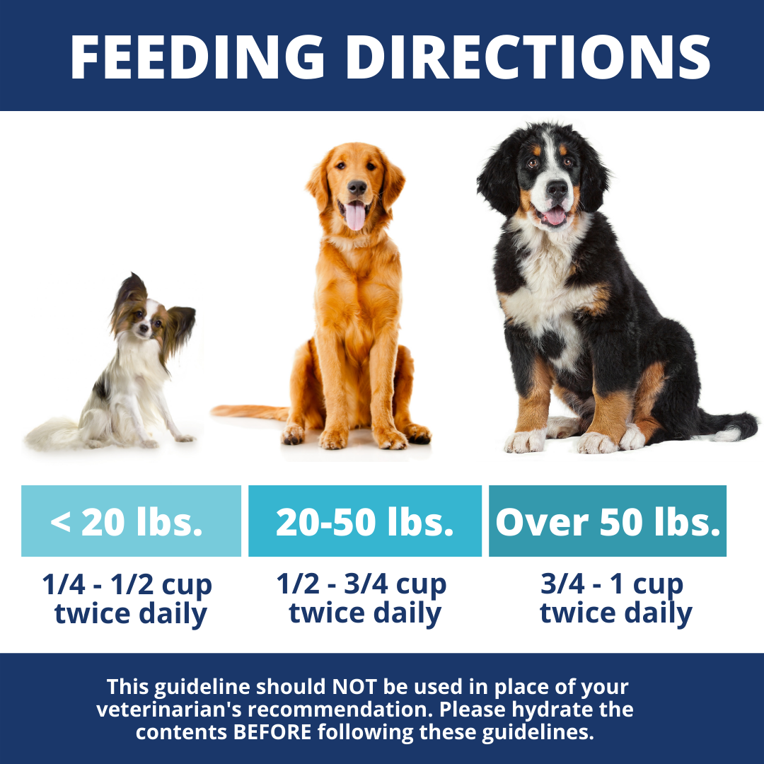 Chicken, Rice, & Pumpkin Bland Diet For Dogs