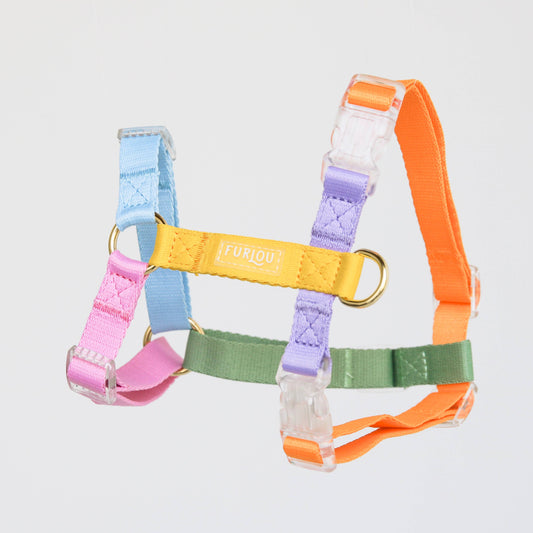 Rainbow Dog Strap Harness