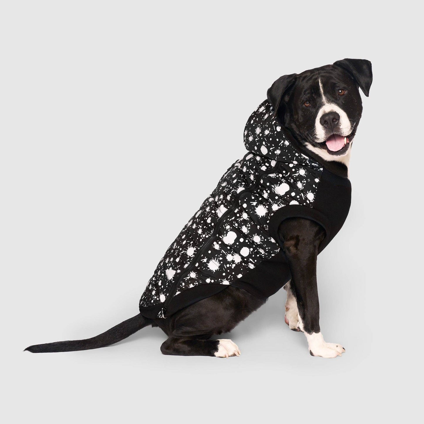 Prism Puffer- Dog Coat: Galaxy / 8