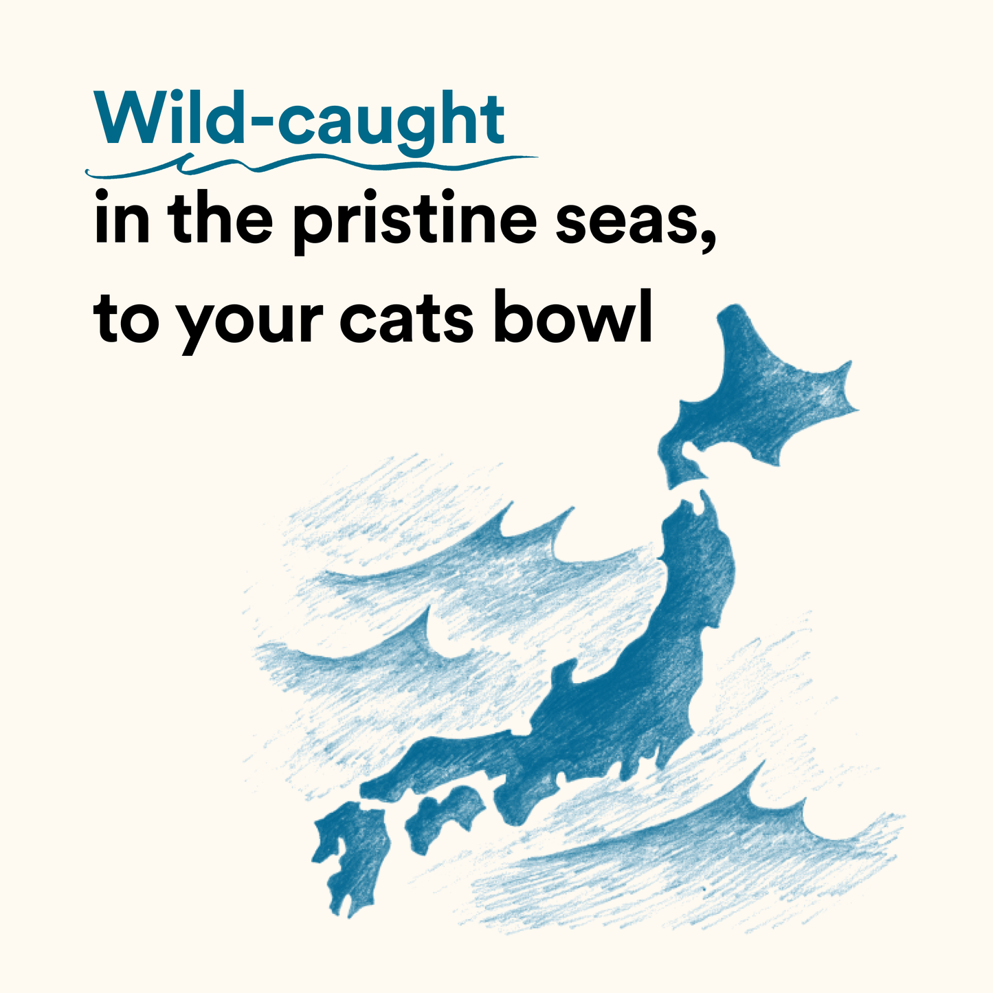 Umami Treats: Bonito Flakes for Cats and Dogs