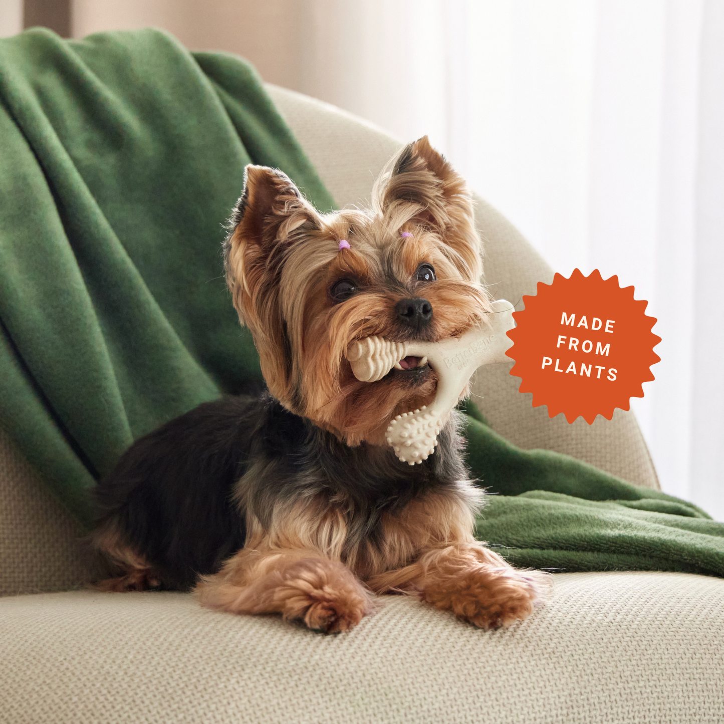 BetterBone Wishbone Plant Based Chew Toy - MINI SIZE: Moderate / Beef / Mini