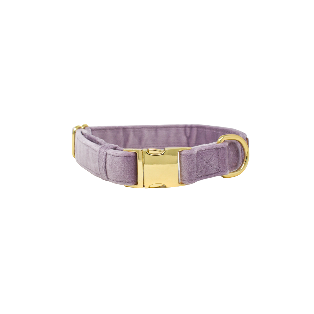 Lilac Dog Collar