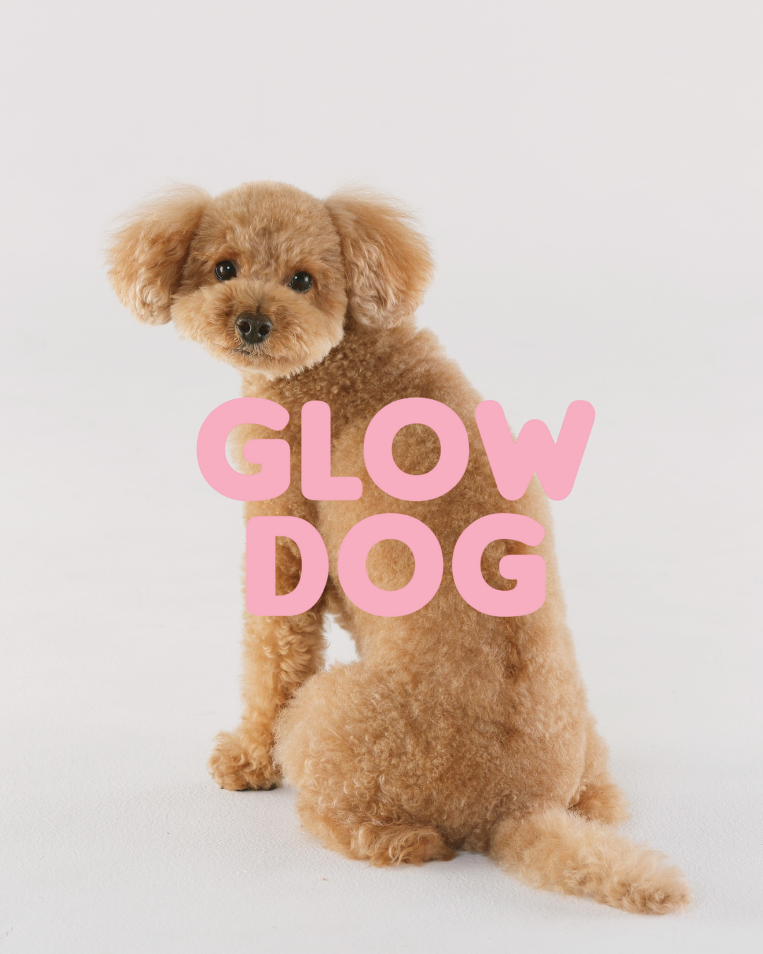 Glow Dog – 2-in-1 Vitamin Shampoo & Conditioner for Dogs