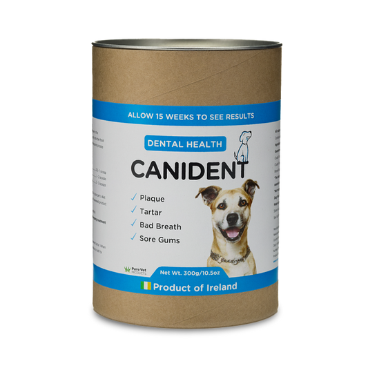 Canident Dental Health Supplement - 150 grams