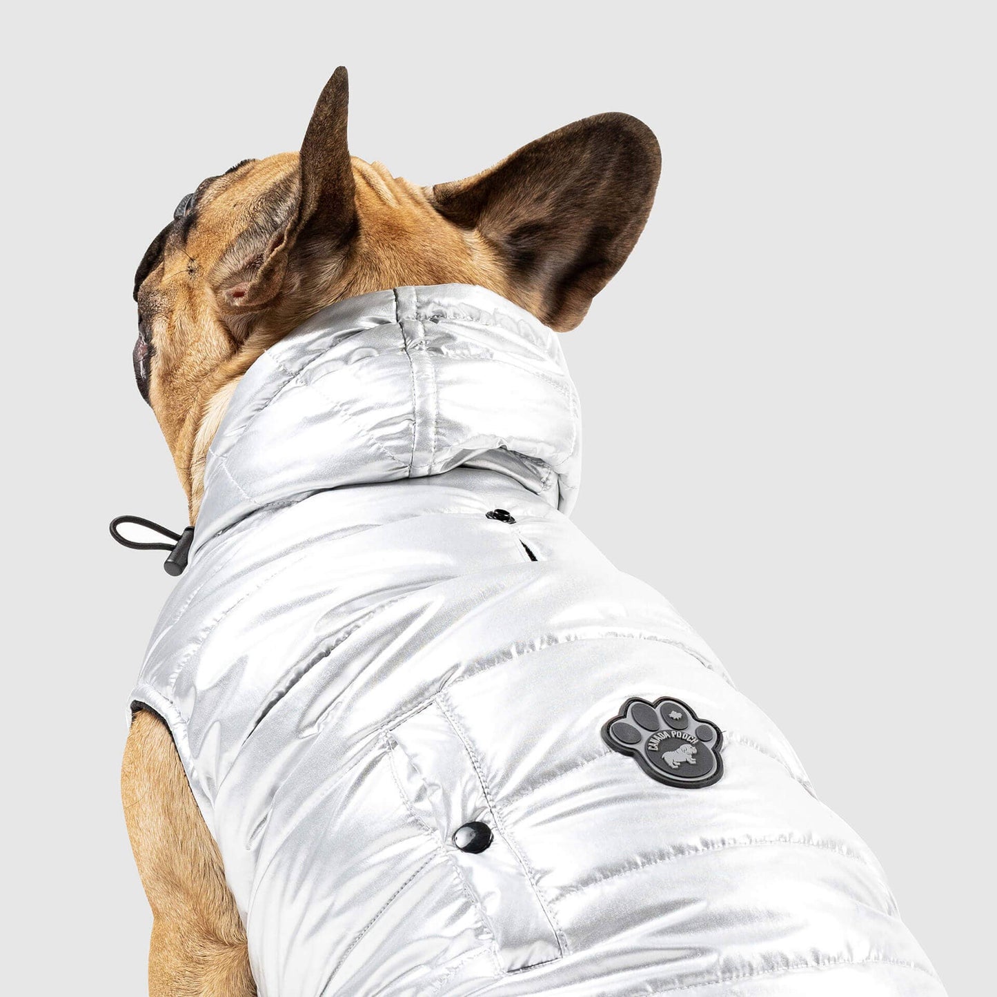 Shiny Puffer Vest- Dog Coat: Iridescent / 16