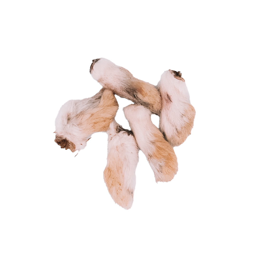 Dehydrated Rabbit Feet: 6 Pack