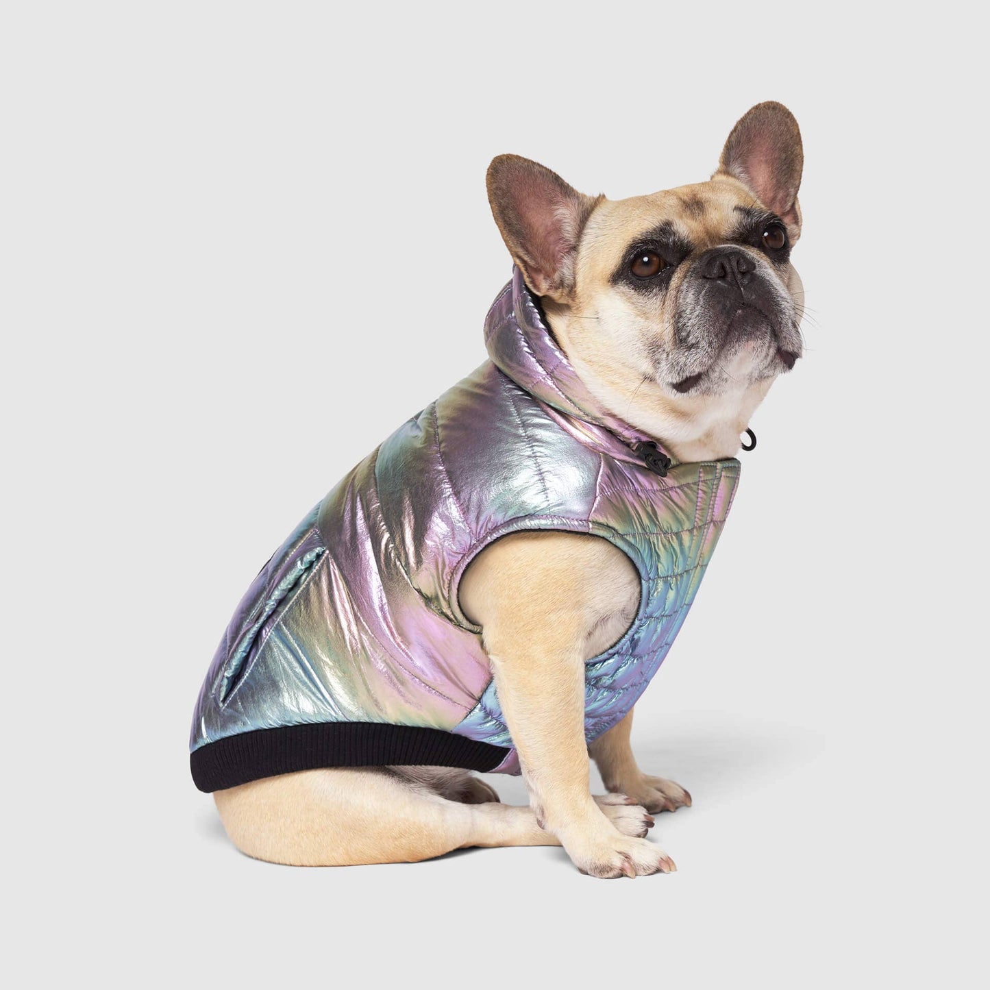 Shiny Puffer Vest- Dog Coat: Iridescent / 16